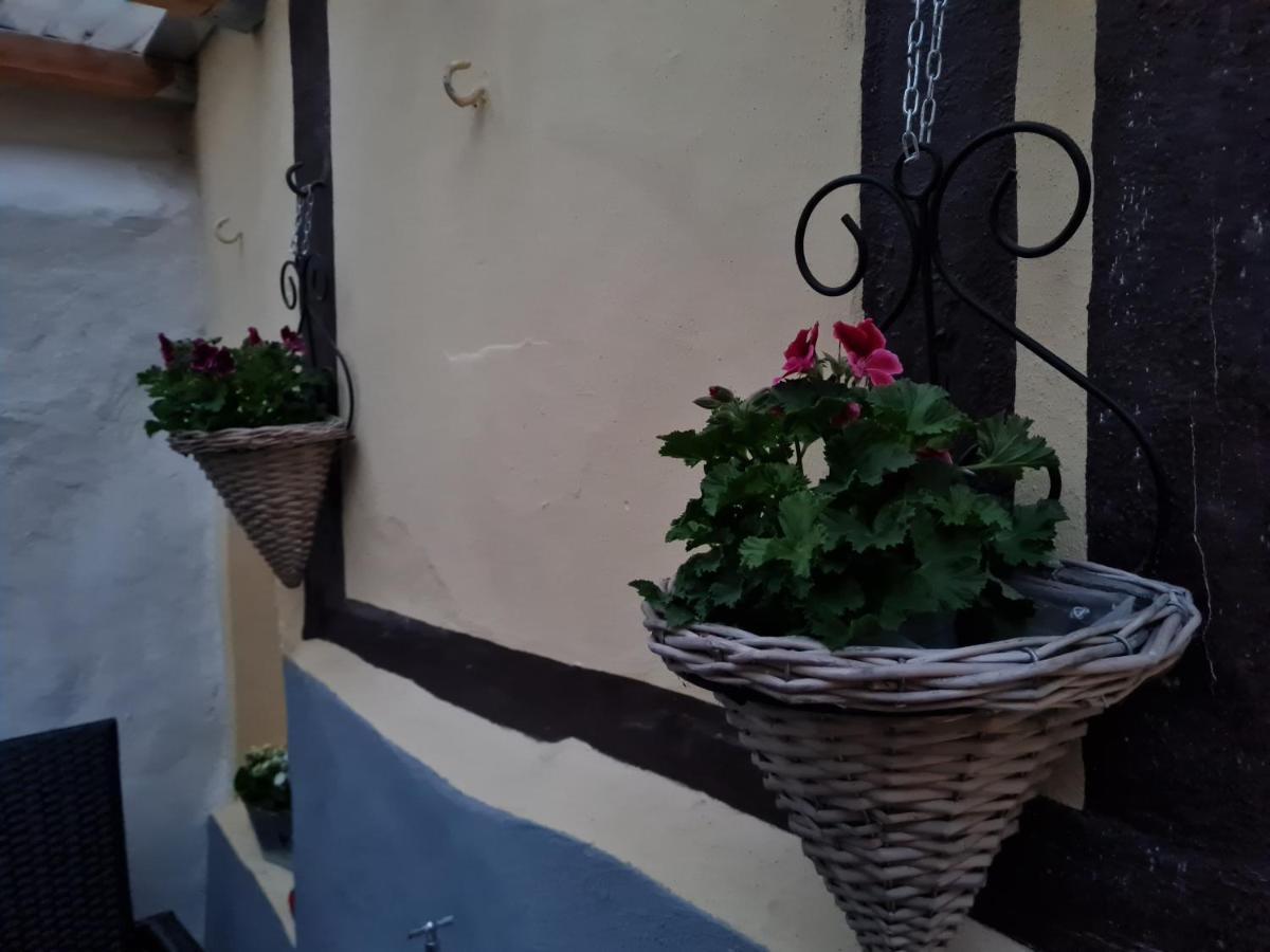 קדלינבורג Ferienhaus Schatzliebe מראה חיצוני תמונה